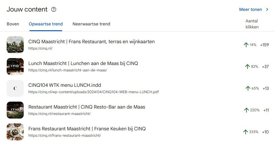 Resultados de palabras clave de CINQ en Google Search Console